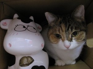 明日に向けて・・・