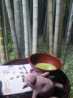 竹林で癒されたぁ～