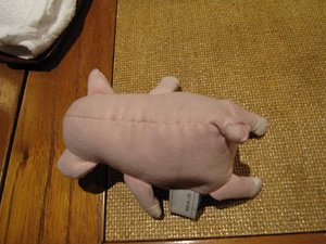 ただ帰るだけではと・・・