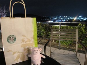 ３．２９の帰り・・・