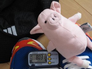 はやぃ筋肉痛が・・・