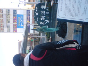 焼津は快晴なり・・・