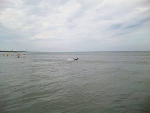 日曜日は海に・・・