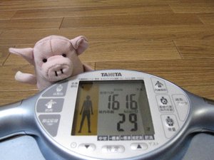 冬眠明けできず・・・