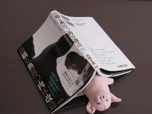 やればできるかも・・・