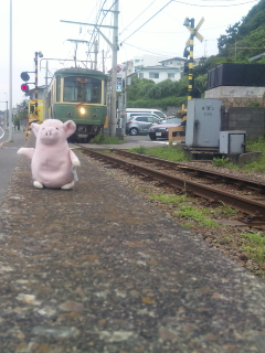 高台から江ノ島が・・・