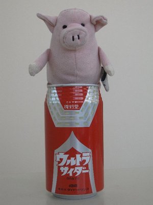 懐かしい・・・