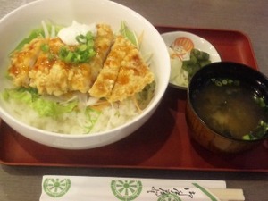 森林の湯（つま恋）