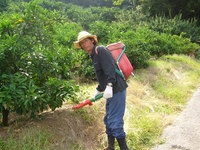 カメラ目線 2005/06/26 13:37:00