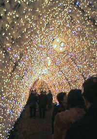 時のすみかのイルミネーション 2009/11/18 18:11:44