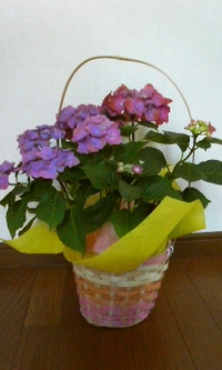 超～衝動買い
