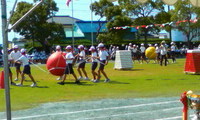 やっと運動会 2008/09/22 10:45:40