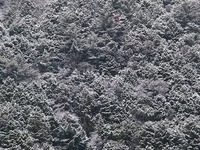 微妙に雪景色