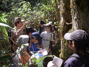 『原生林キャンプ2011』　詳細レポート