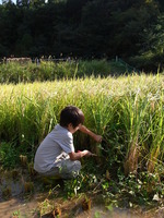 『たりのであそぼう＆とまろう10月』　詳細レポート