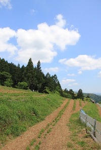 『たりのであそぼう2012　5月』　詳細レポート