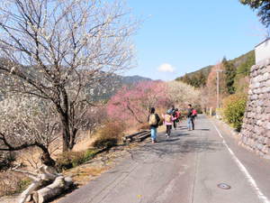 『冒険の旅～山岳修行編～』　詳細レポート