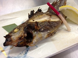 イサキが美味しい季節です・・・