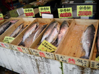 サンバーン★新潟～夏