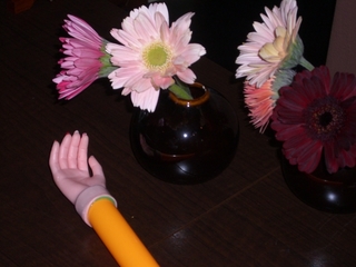 花いっぱい！