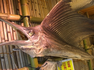 伊勢小旅行