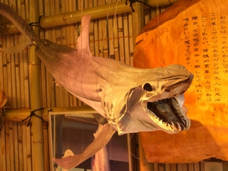 伊勢小旅行
