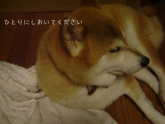 ひとりにしといて！！