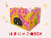 はまにゃごプレゼンツ★テテル抽選箱やるニャゴ