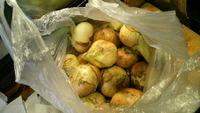 新玉ねぎ！ありがとう！ 2012/04/14 02:05:25