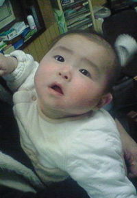 甥っ子のゆうさくです。まいど〓 2009/02/25 15:45:14