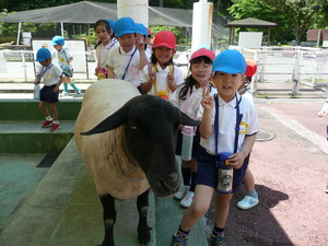 遠足