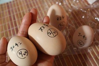 たまごまごまご