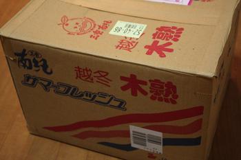 新タマ！！！