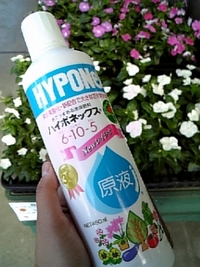 土用の前に
