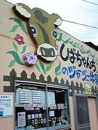 春色プリンを買いに♪