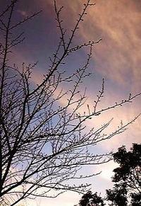 雨のち晴れ
