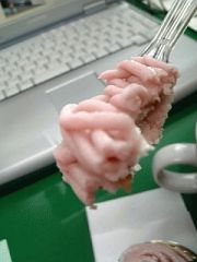 春色モンブラン♪
