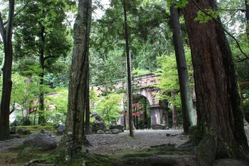 結構なお点前で　【追記あり】