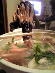 アンコール・アンコー☆
