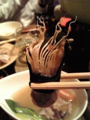 アンコール・アンコー☆