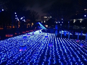 ひかりの祭典