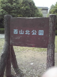 郊外学習