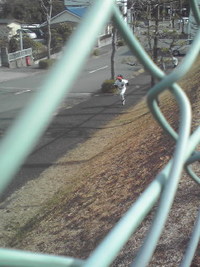 坂道ダッシュ 2009/02/22 10:31:37