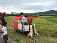 稲刈り 2009/09/12 09:44:44