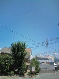 夏野菜の天ぷら 2011/07/15 11:14:38