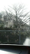 祭典２日目(^o^)v 2009/10/18 08:23:21