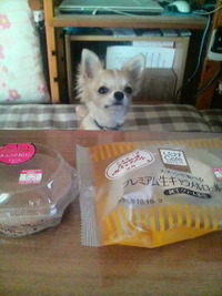 おウチでカフェしてしまいました( ^o^ゞ 2010/10/02 17:02:48