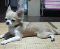 嵐くんは、眠いです(._.)_ 2010/10/07 21:26:12