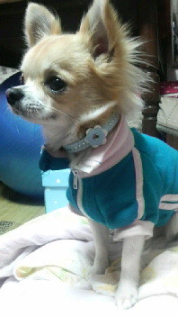 嵐くんU^ェ^ UのBirthday ♪♪ 2011/01/29 21:55:50
