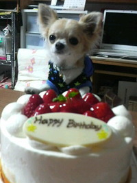 Birthdayケーキ誰の？？ 2011/02/27 17:51:50